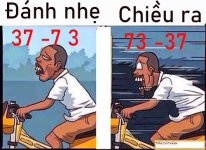 hoakieu2.jpg