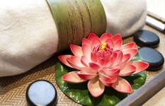 À. Nail được nhiều khách hàng yêu thích À. Nail được nhiều khách hàng yêu thích