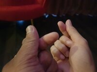 20220927_172321.jpg 20220927_172321.jpg